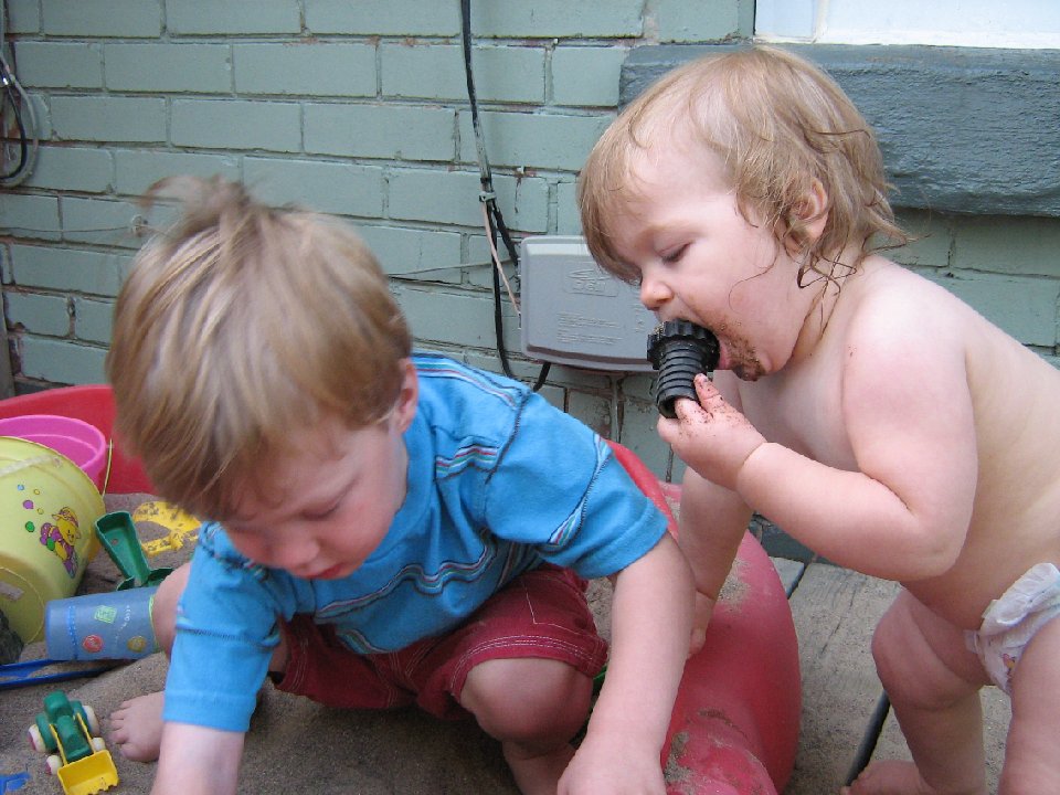 IMG 0504