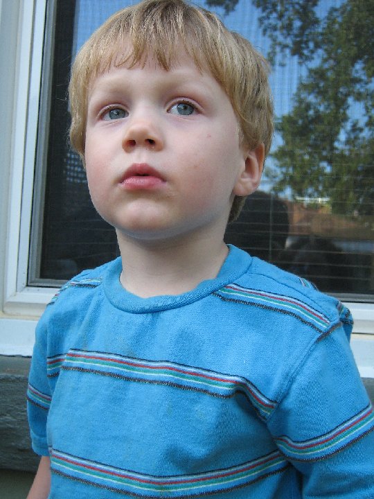 IMG 0511