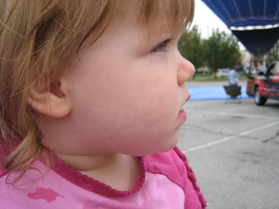 IMG 0801