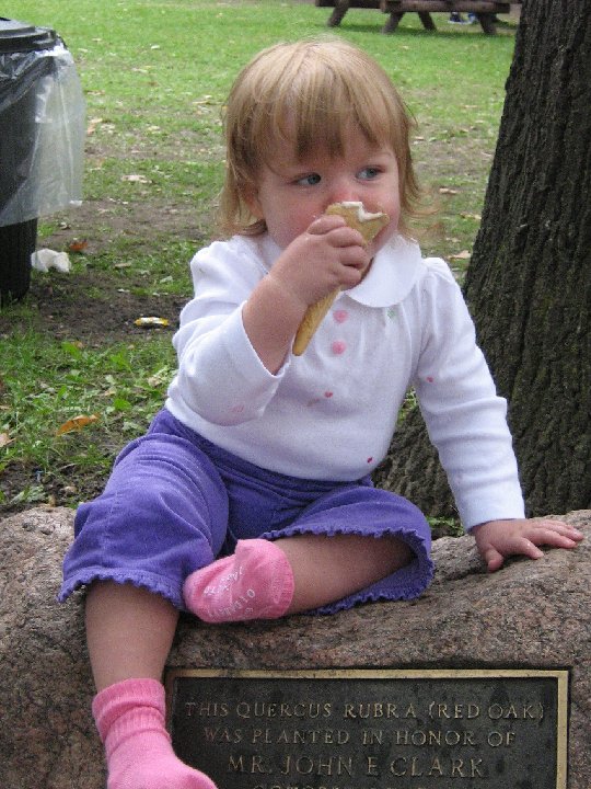 IMG 0859