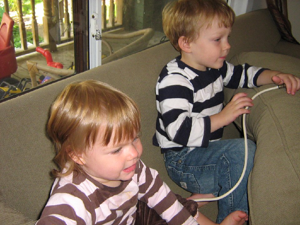 IMG 0881