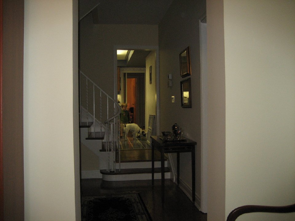 IMG 0093