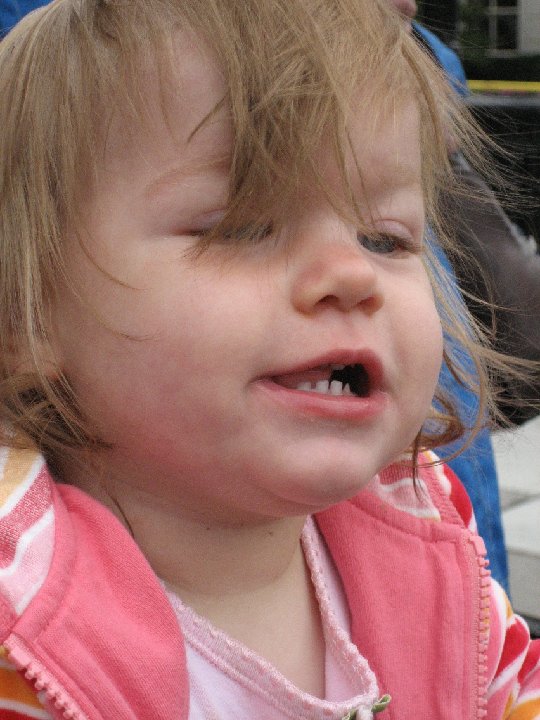 IMG 0102