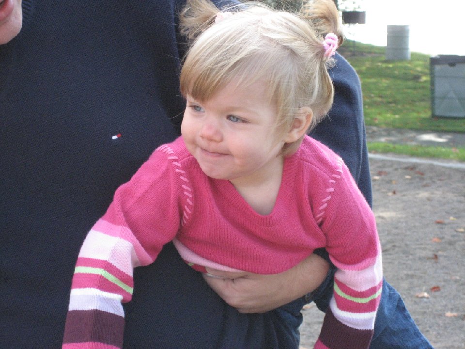 IMG 0155