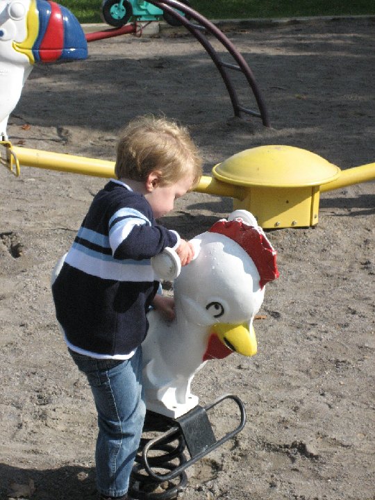 IMG 0164