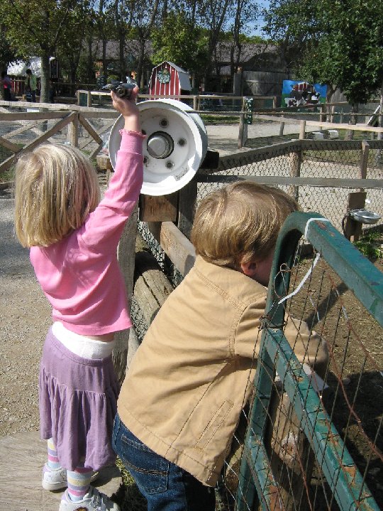 IMG 0917