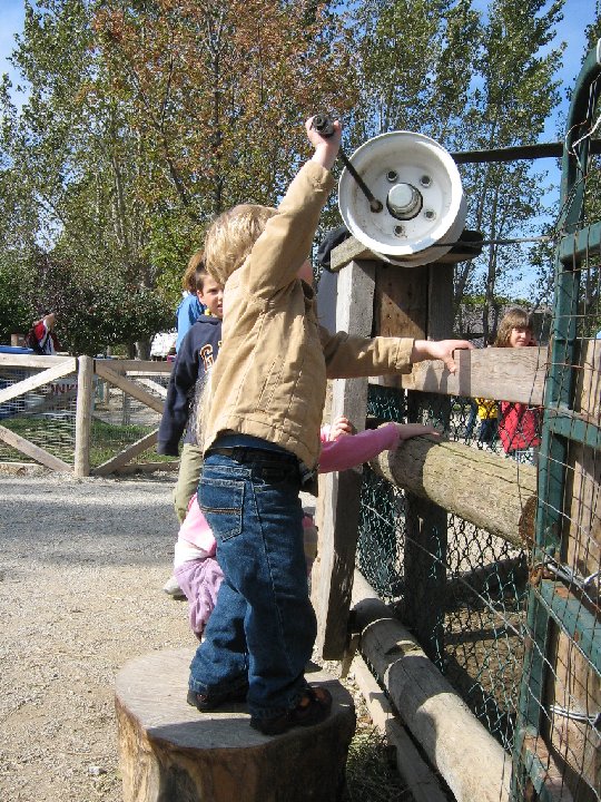 IMG 0918