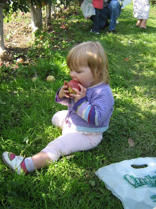 IMG 0932