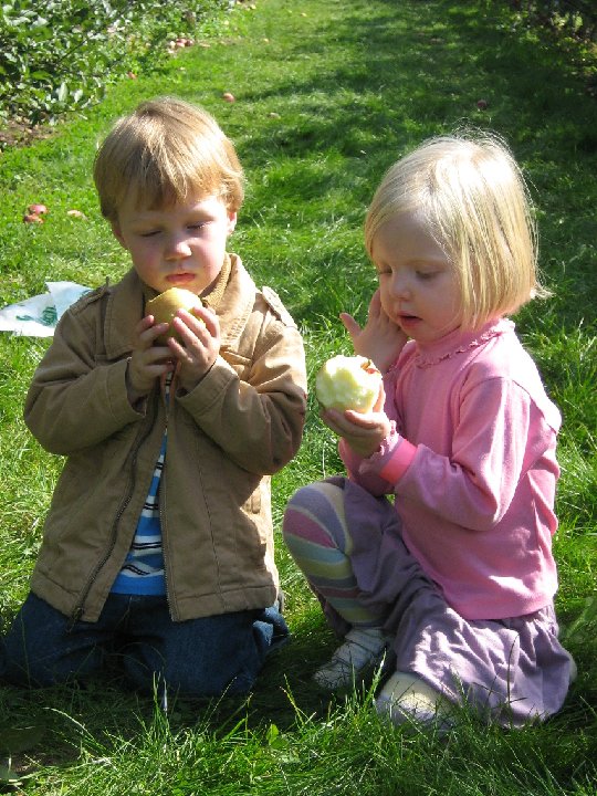 IMG 0951