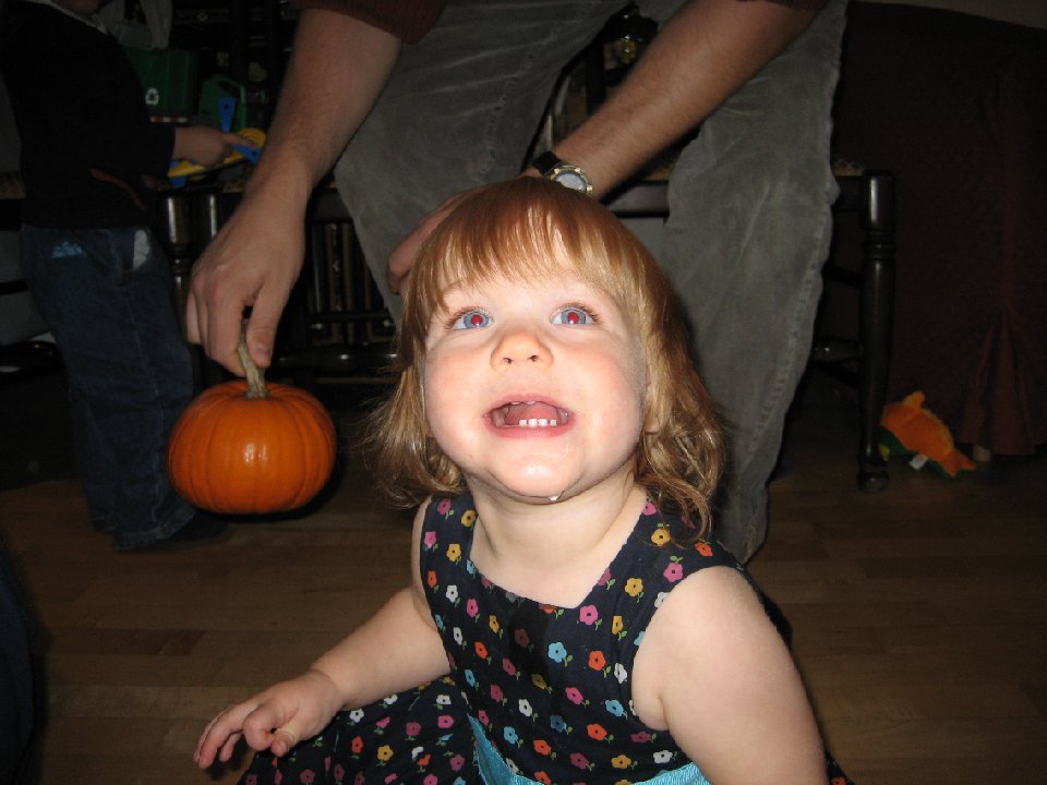 IMG 0312