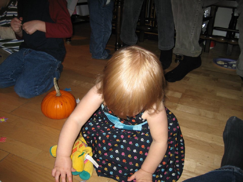 IMG 0333