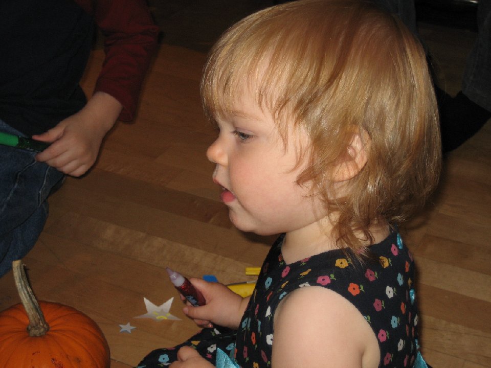 IMG 0339