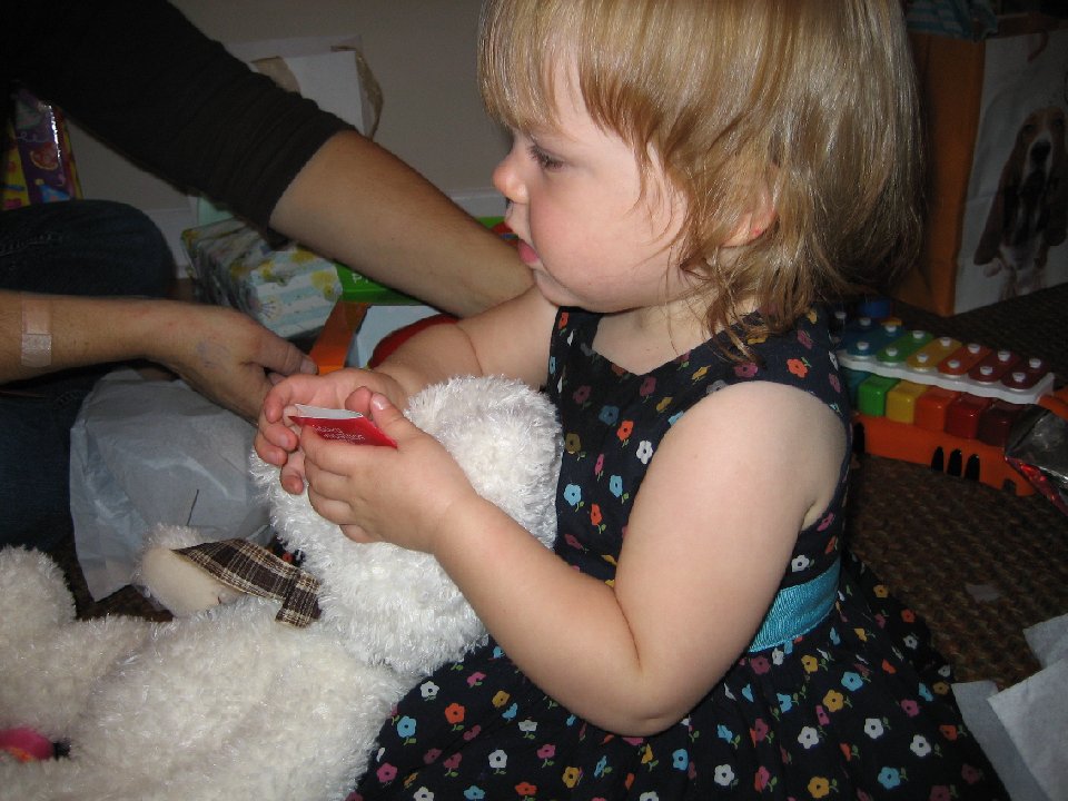 IMG 0451