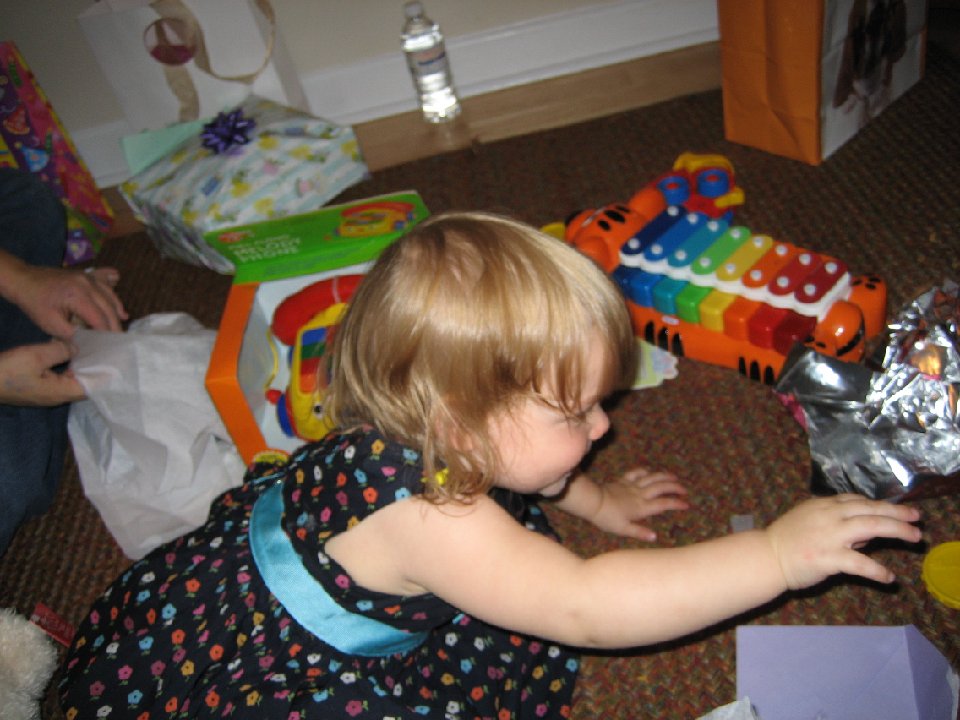 IMG 0454