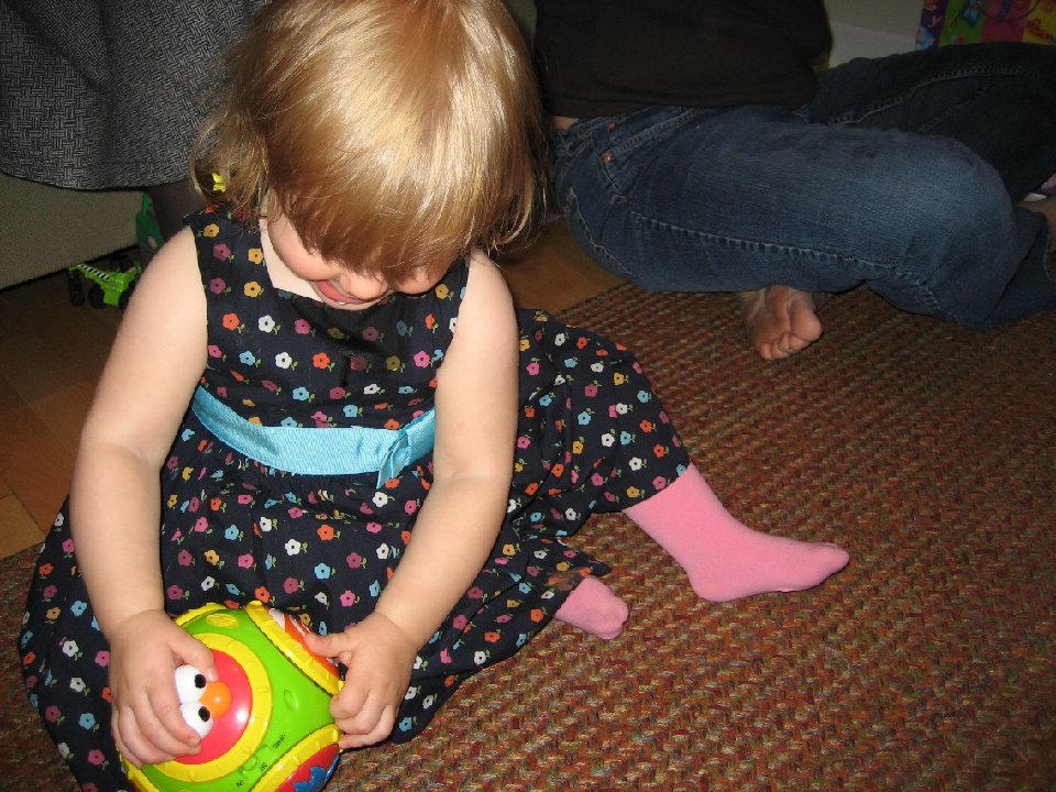 IMG 0459