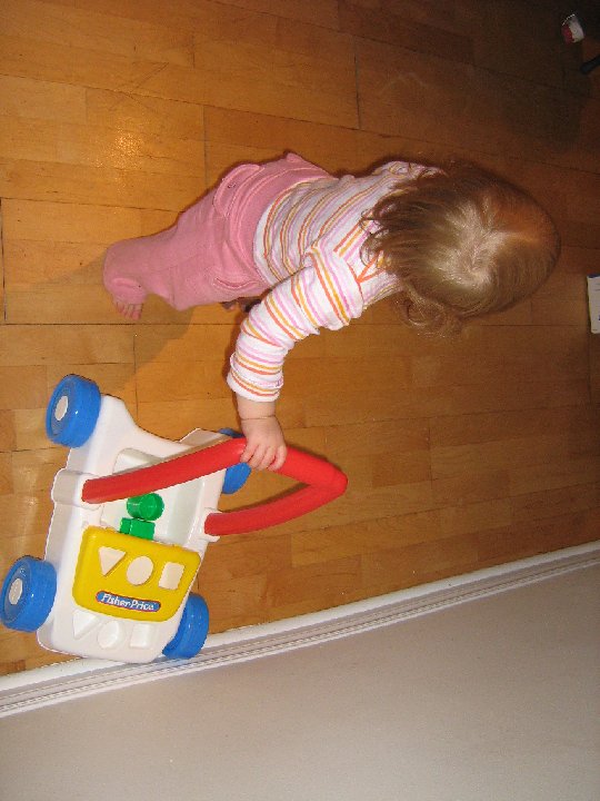 IMG 1189