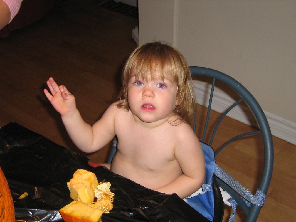 IMG 1292