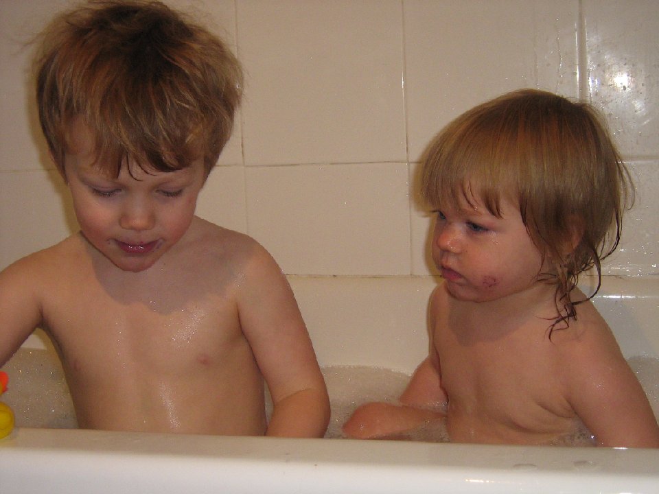 IMG 1541