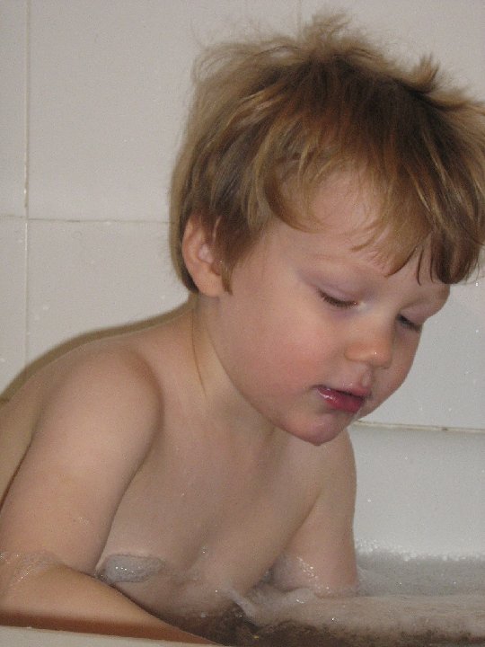 IMG 1544