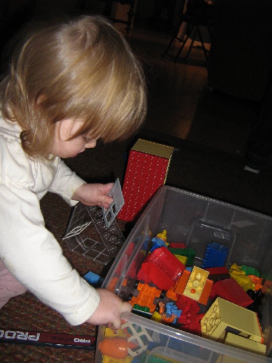 IMG 1569