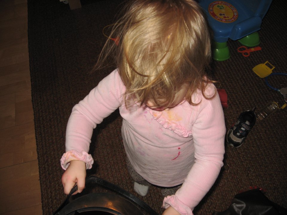 IMG 1612