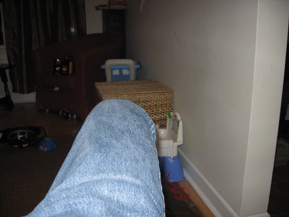 IMG 1642