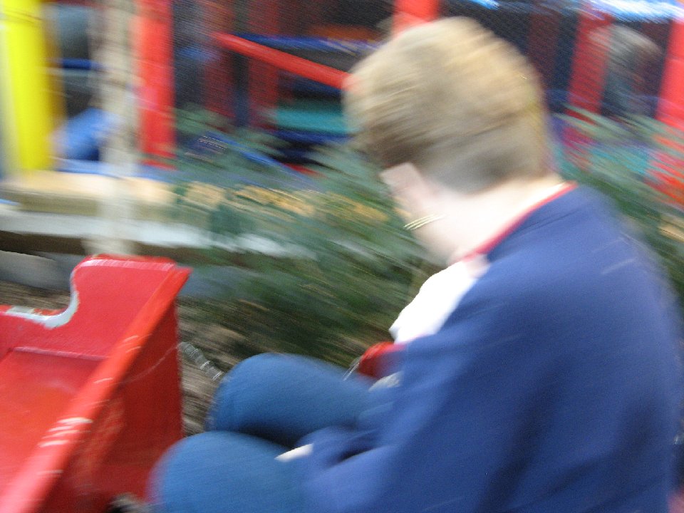IMG 0208