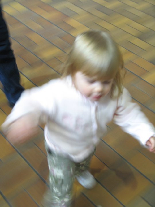 IMG 0217