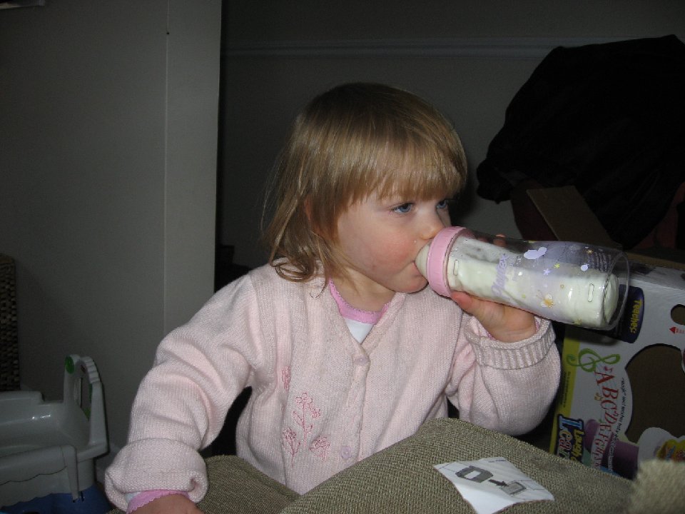 IMG 1568