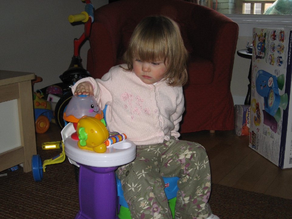 IMG 1586