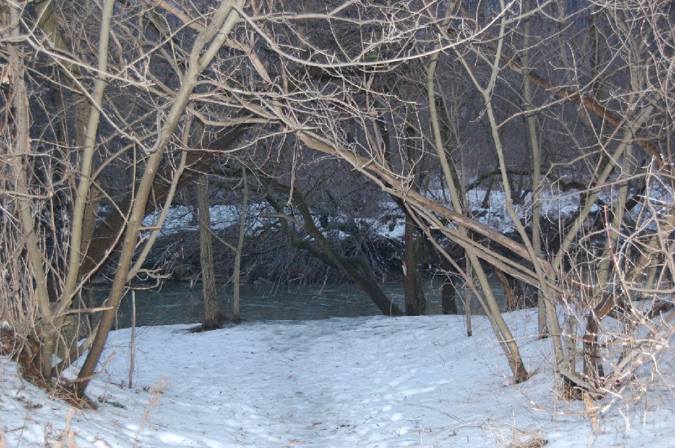 DSC 0096