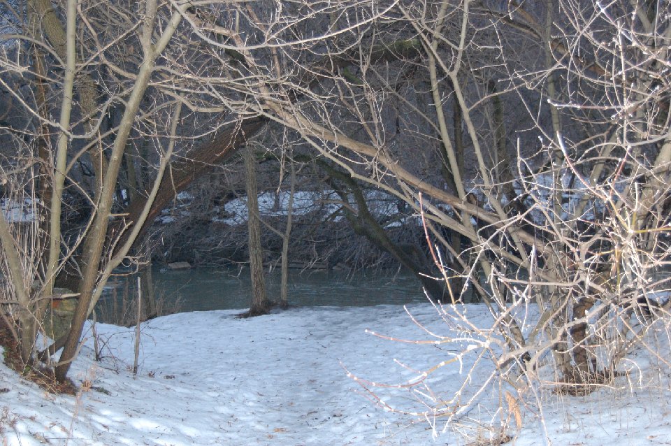 DSC 0097