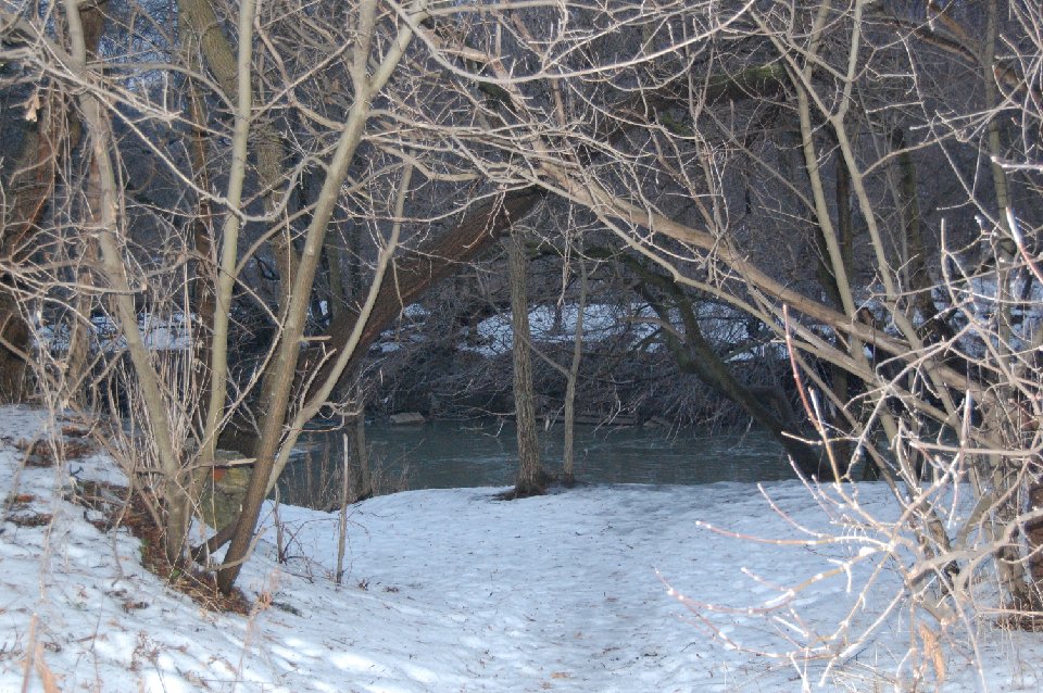 DSC 0098