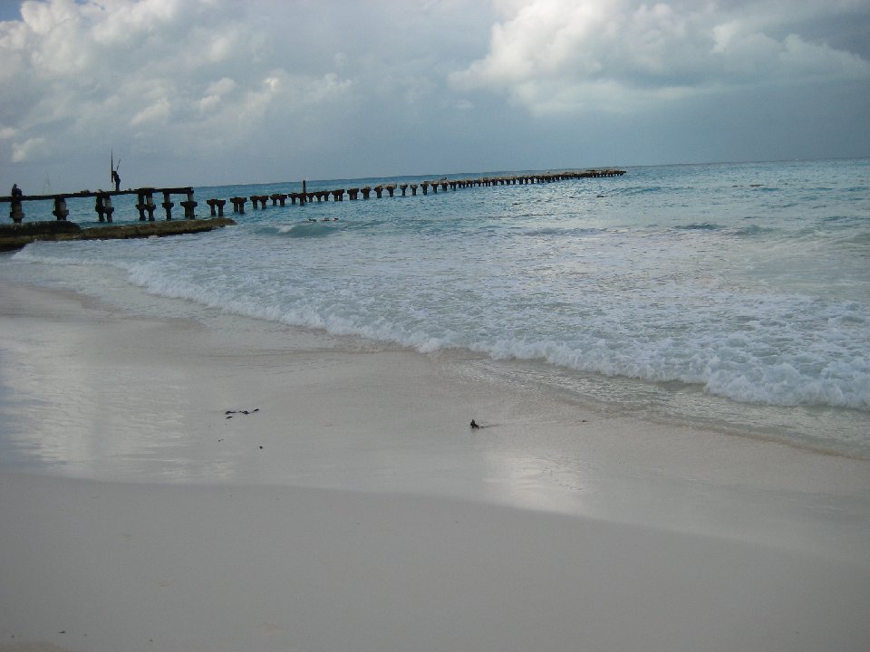 IMG 6455