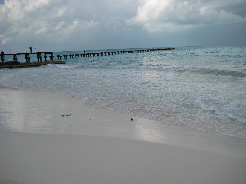 IMG 6456