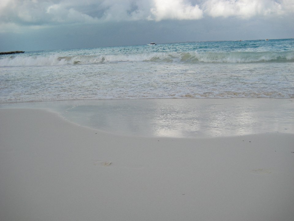 IMG 6458