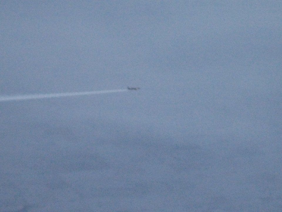 IMG 6648
