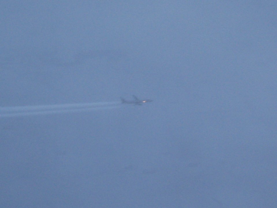 IMG 6655