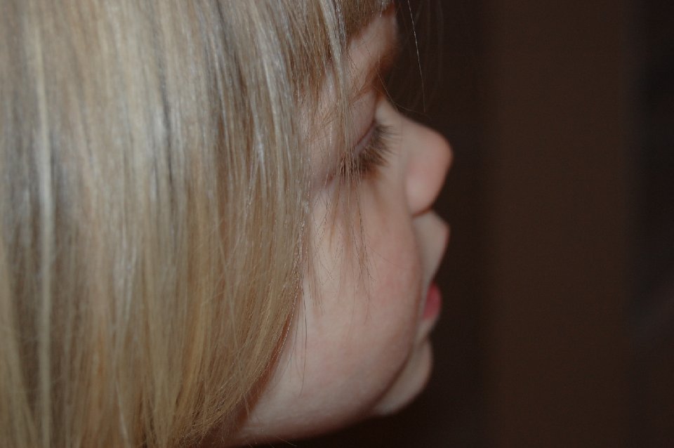 DSC 0050