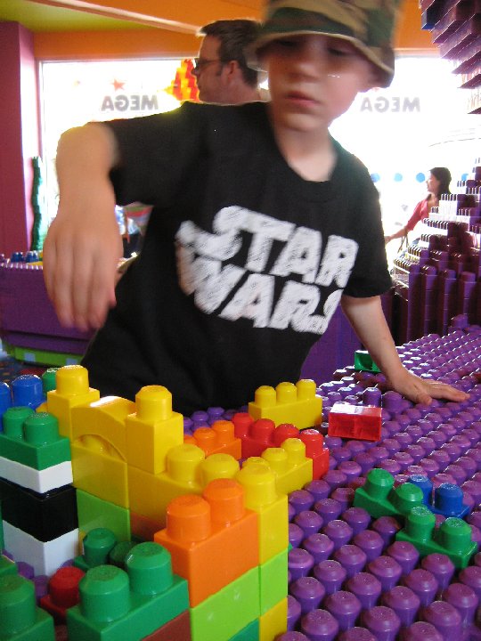 IMG 0886