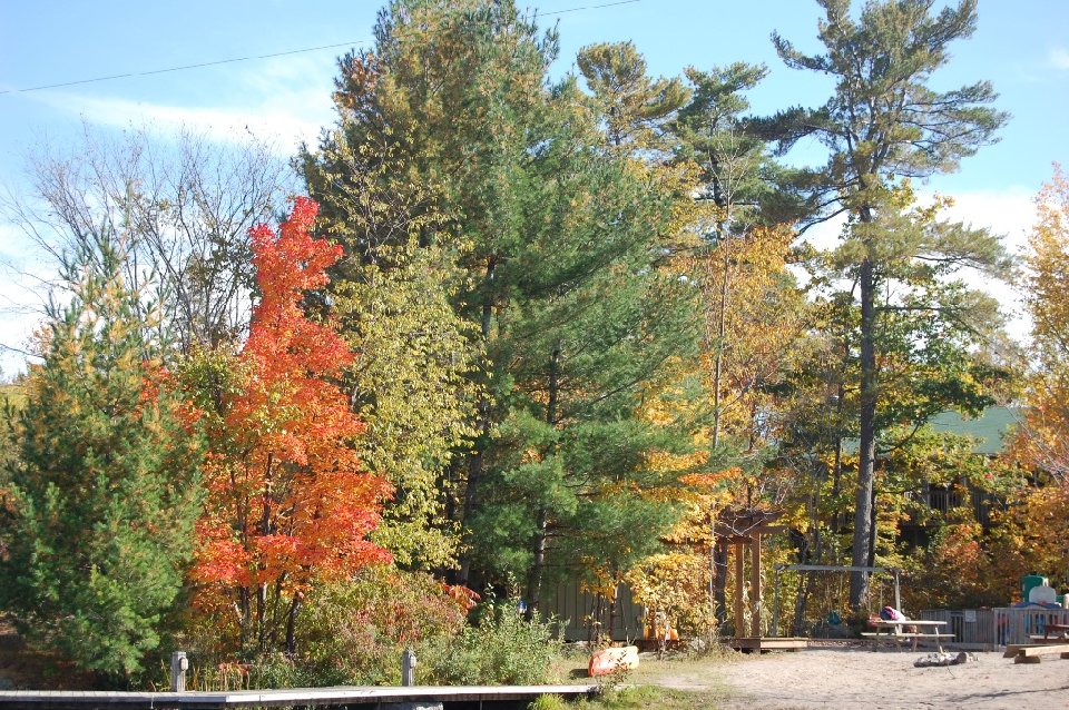 DSC 0364