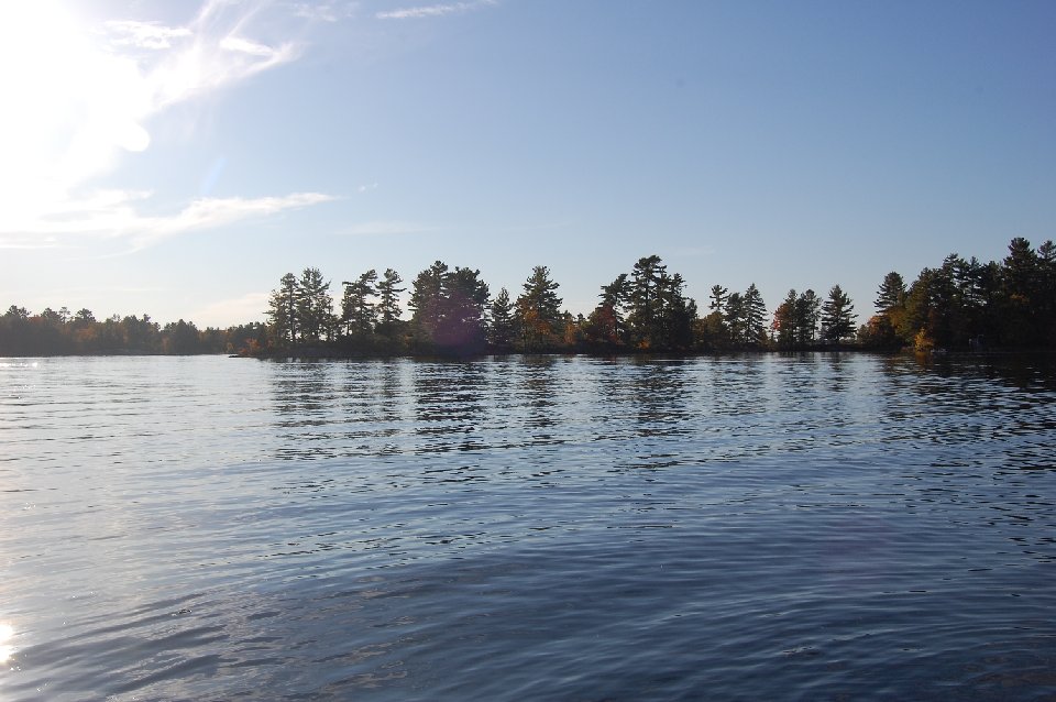 DSC 0495