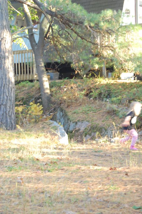 DSC 0539