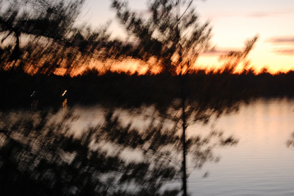 DSC 0561