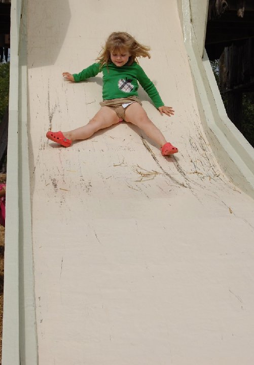 MINI-DSC 0026
