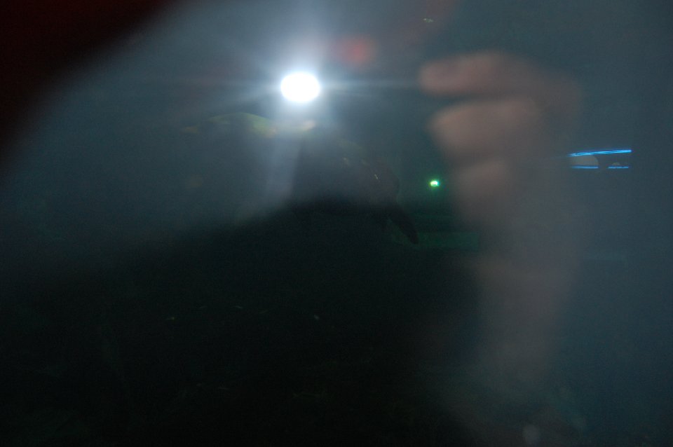 DSC 0567