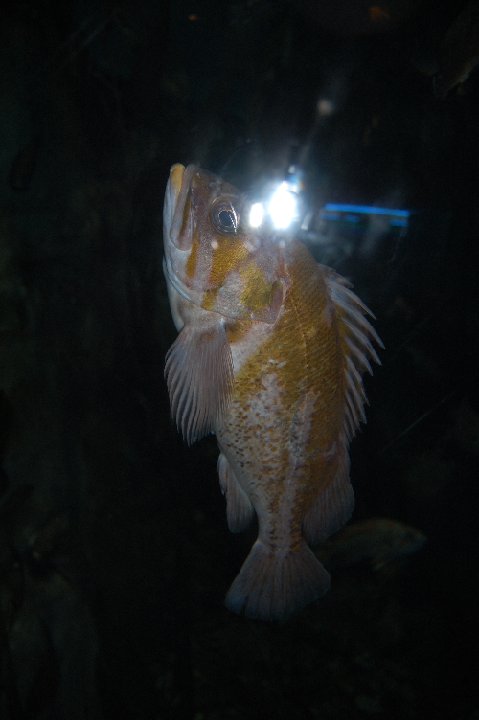 DSC 0569