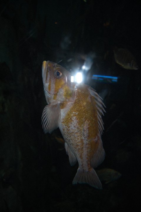 DSC 0570
