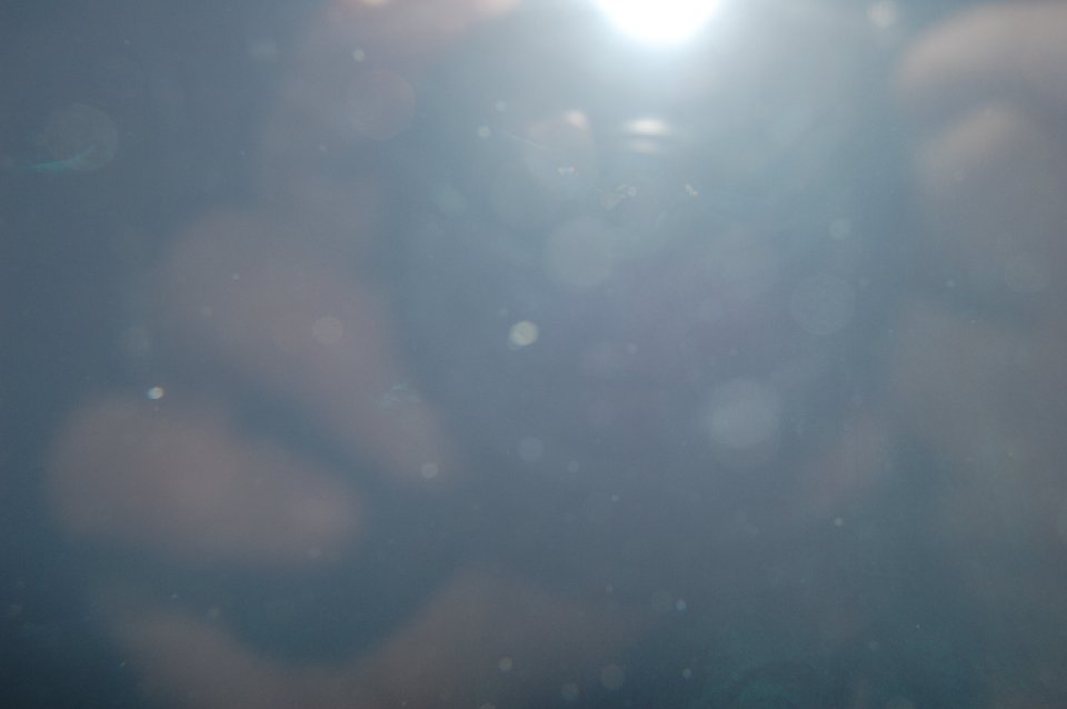 DSC 0631