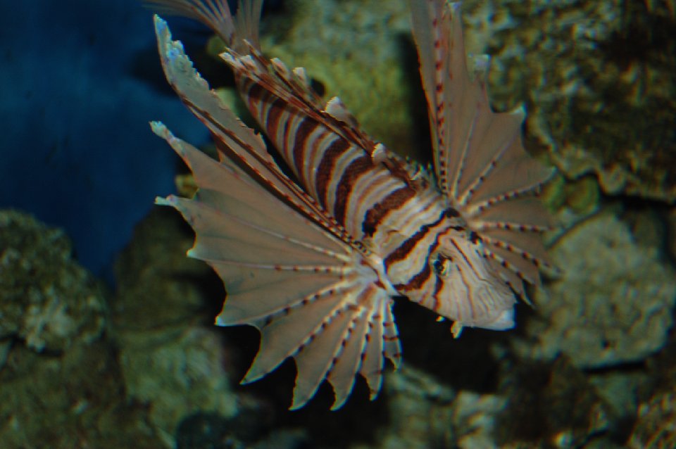DSC 0731